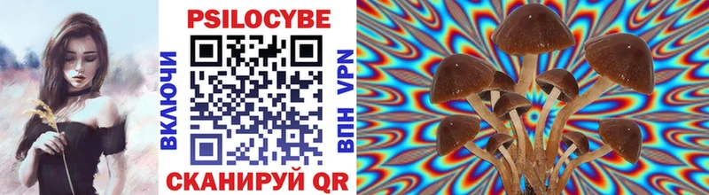 Галлюциногенные грибы Magic Shrooms  где найти   Нижнекамск 