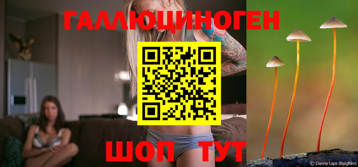 Нижнекамск  Галлюциногенные грибы прущие грибы  Псилоцибиновые грибы GOLDEN TEACHER  купить наркоту  Вход с VPN 